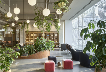 Biophilic Elements Alive and Well in Higher Education Design